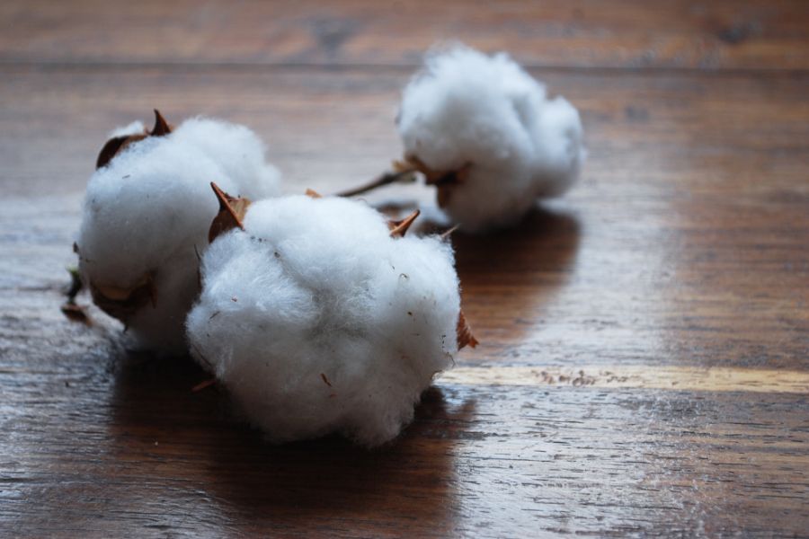 オーガニックコットン純度99.99% 画像