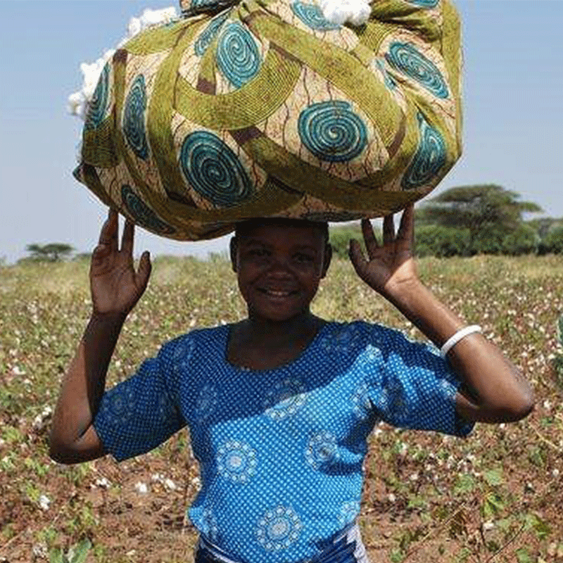 高級今治タオル：原材料へのこだわり