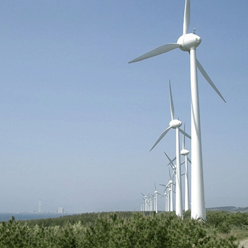 高級今治タオル:環境に配慮したものづくり