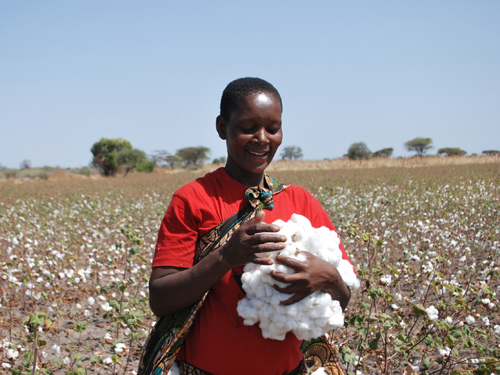 タンザニアの写真